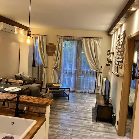 Apartament Center Big *